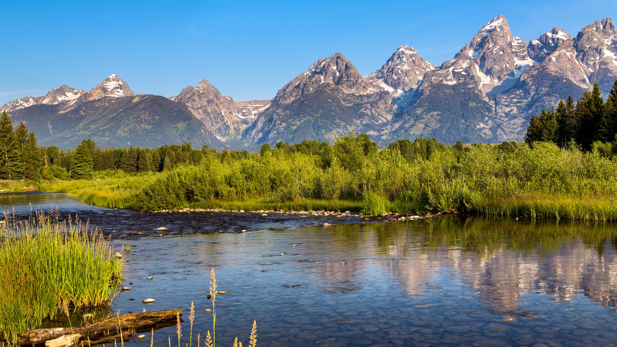 park narodowy grand teton wyoming usa góry jezioro rzeka odbicie drzewa świerk niebo