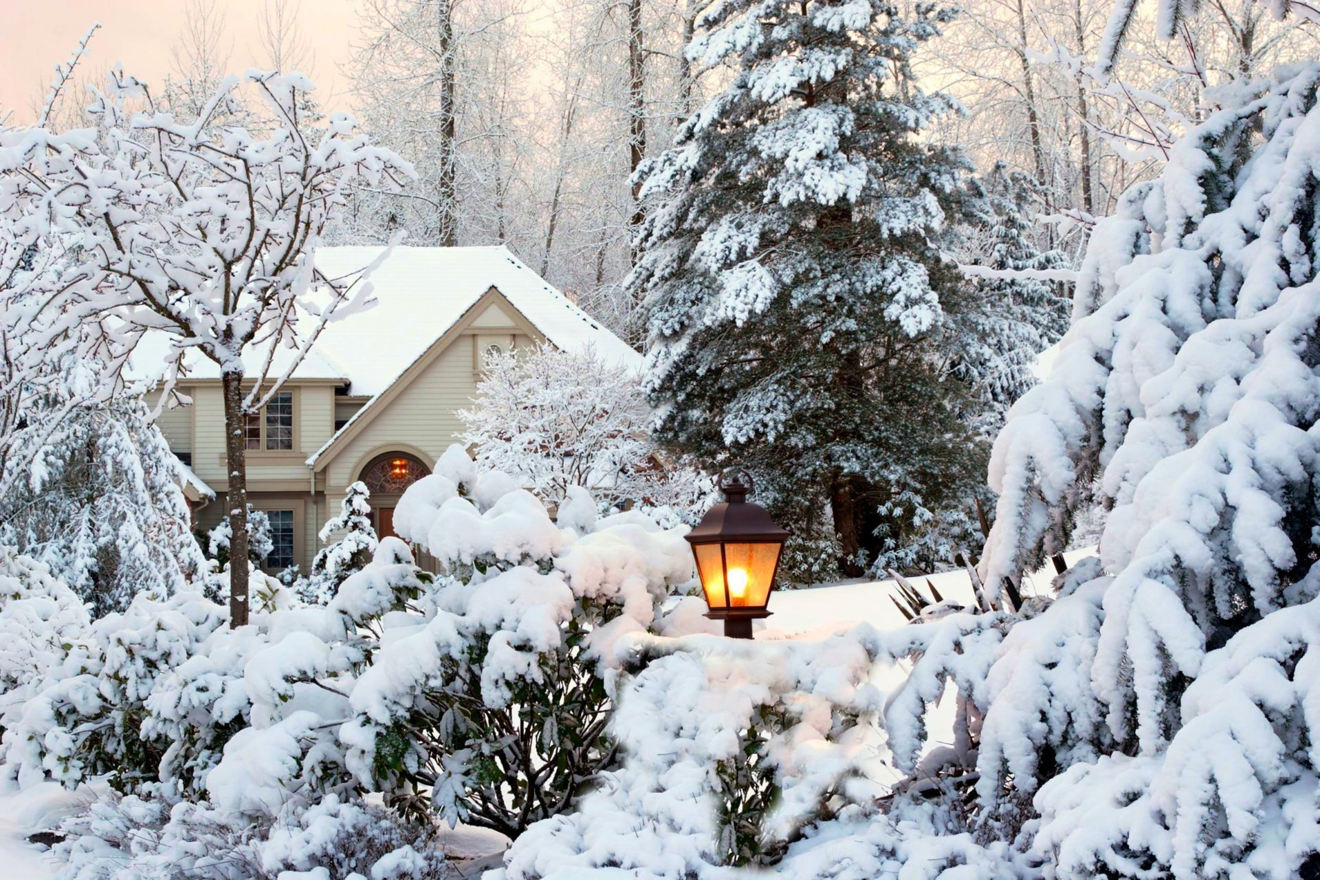 nature trees garden park lantern house winter snow sky landscape winter white