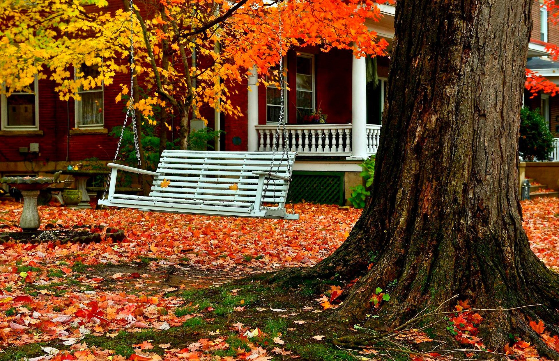 nature forest park trees leaves colorful road autumn fall colors walk grass house