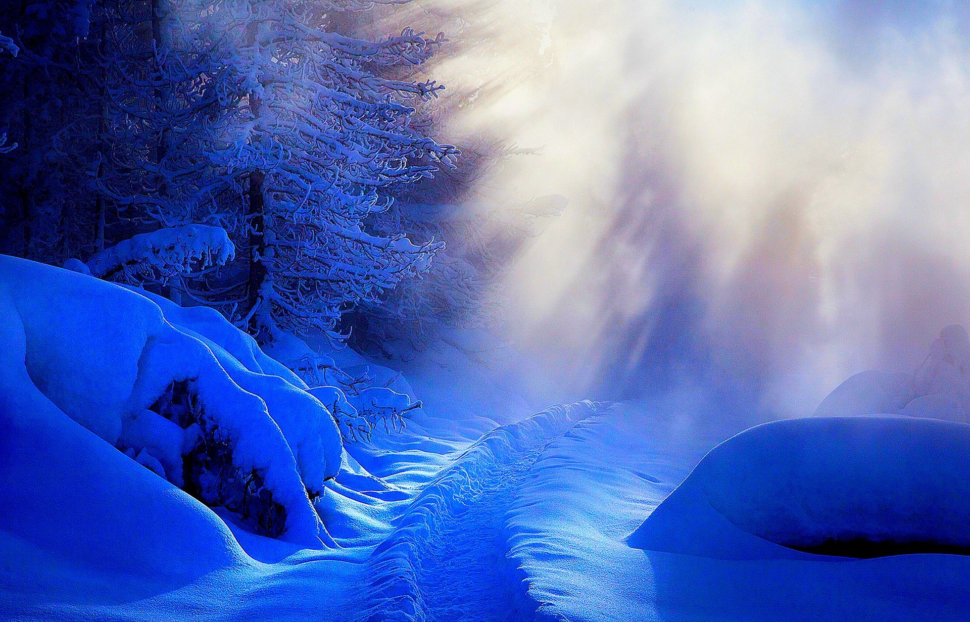 natur winter schnee straße bäume wald himmel landschaft winter weiß cool schön sonnenuntergang