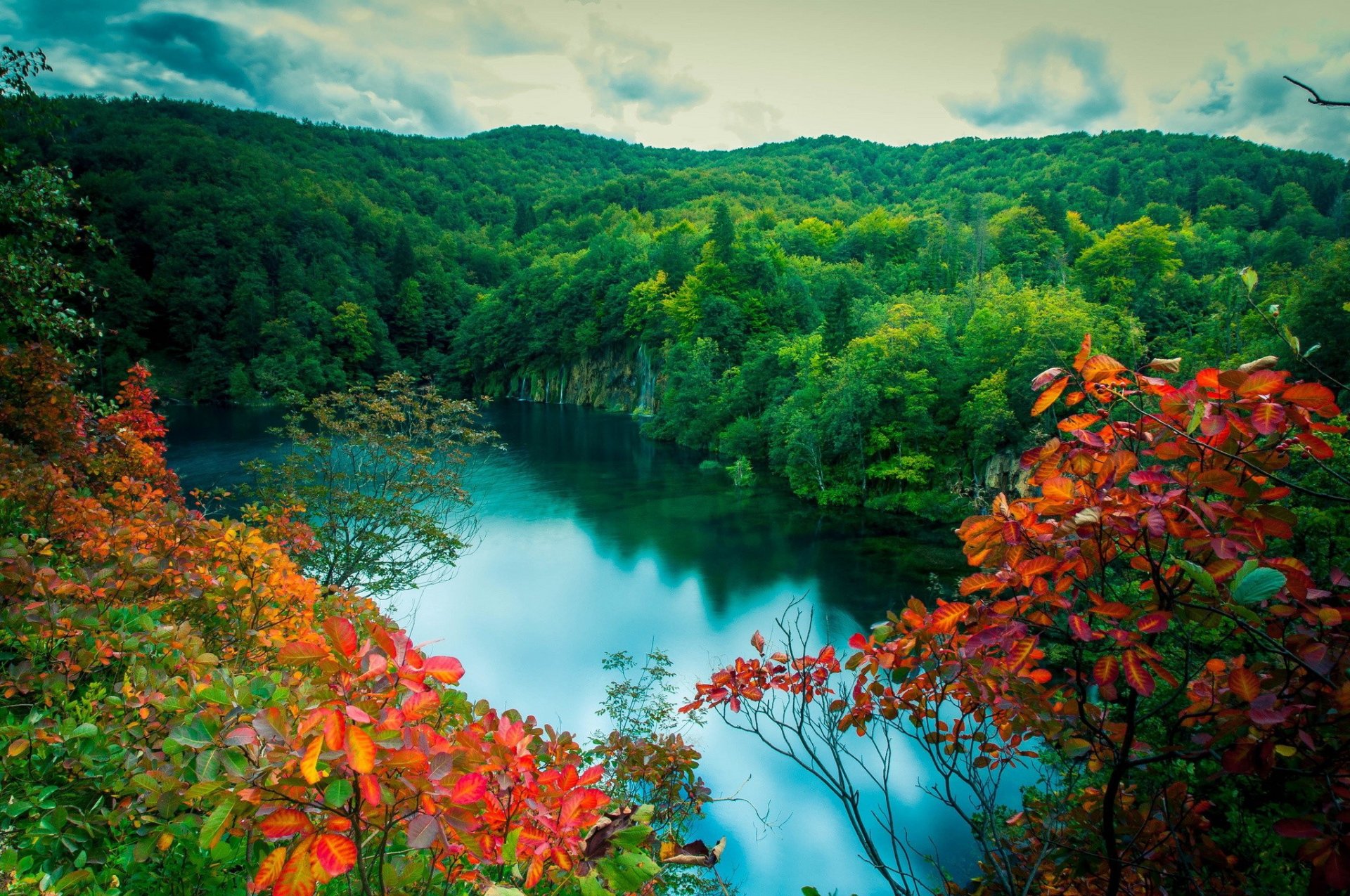 polonia lago foresta alberi vecchio las