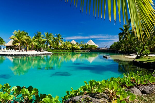 Plage avec des palmiers dans le lagon bleu