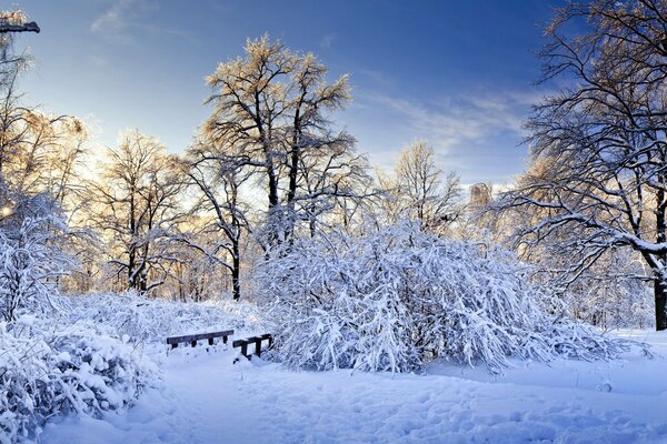 Winterlandschaft mit Brücke im Wald