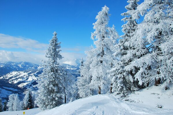 Nature of Austria in snowy winter