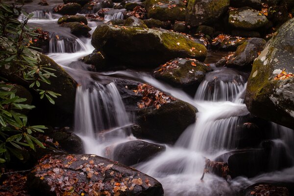 Wasserfall auf großen Steinen im Herbstwald