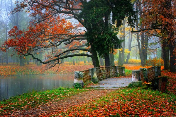 Brücke im Herbstpark mit gelben Blättern übersät