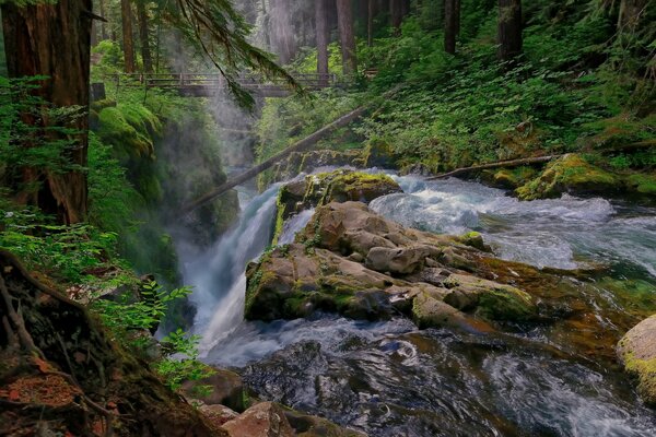 Un fiume di montagna come una cascata cade sulle rocce