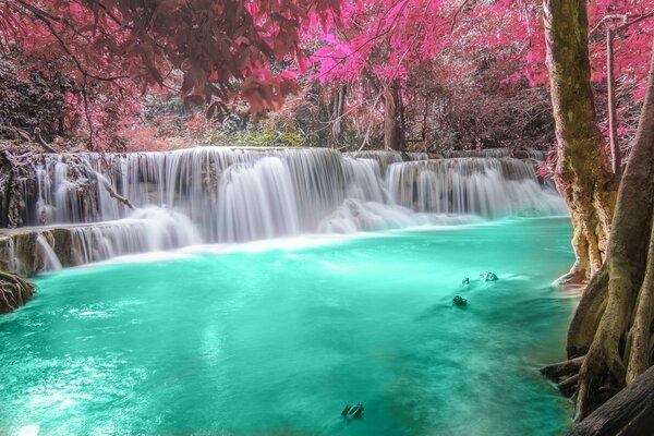 The Emerald River in the fairy forest