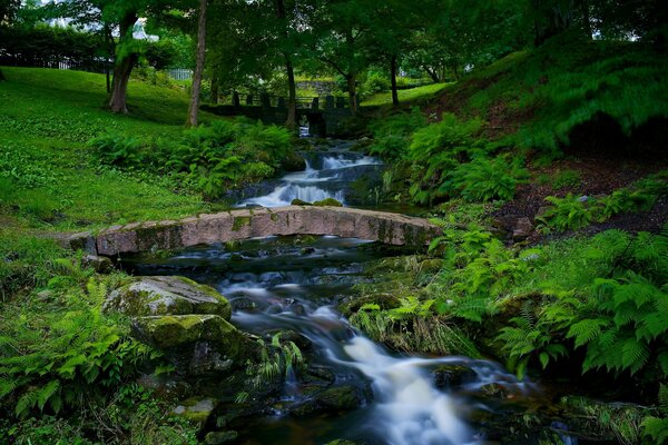 Ein Bergfluss fließt mitten im Wald