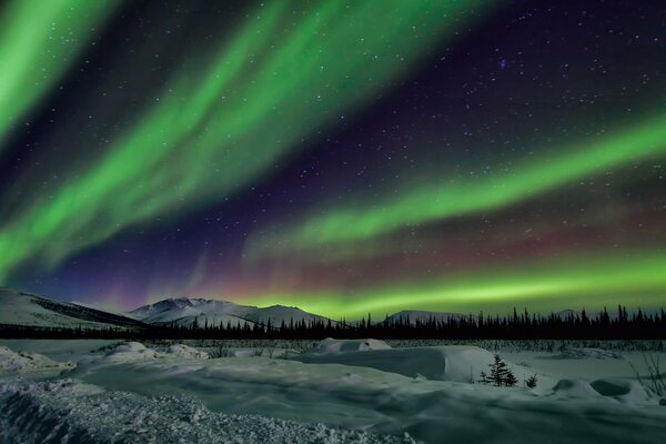 Northern Lights in the beauty of Alaska