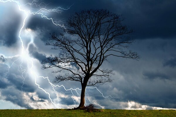 Gewitter. Blitz, der durch die Wolken funkelt