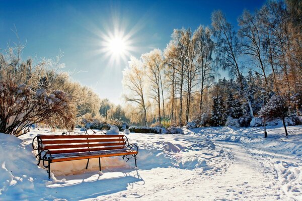 Скамейка в парке в морозное утро