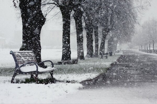 Tienda en el parque cubierto de nieve