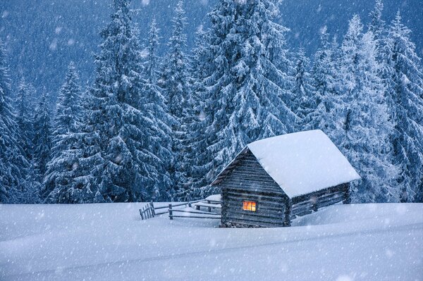 Una casa solitaria innevata si trova nella foresta