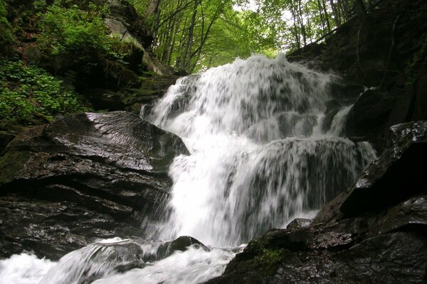 Río de montaña en los Cárpatos