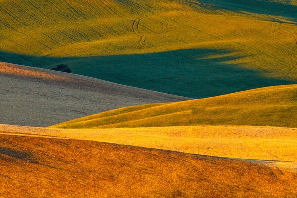 I vasti campi d Italia. Mattina