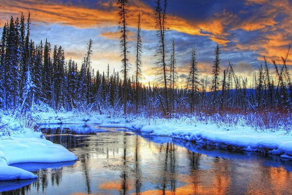 Río desaguado en el bosque de invierno