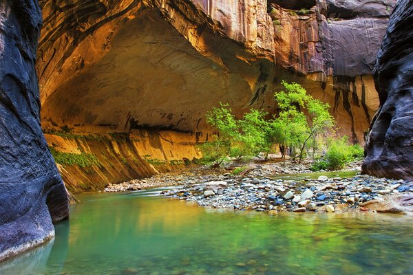 Fluss in der Schlucht im Sommer