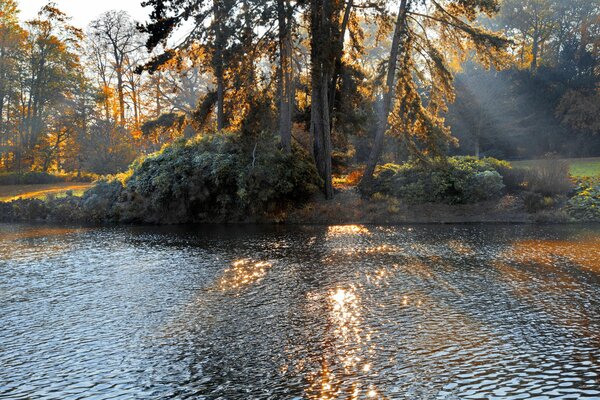 Lake in the autumn park, illuminated by the sun