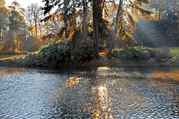 Lago en el parque de otoño iluminado por el sol