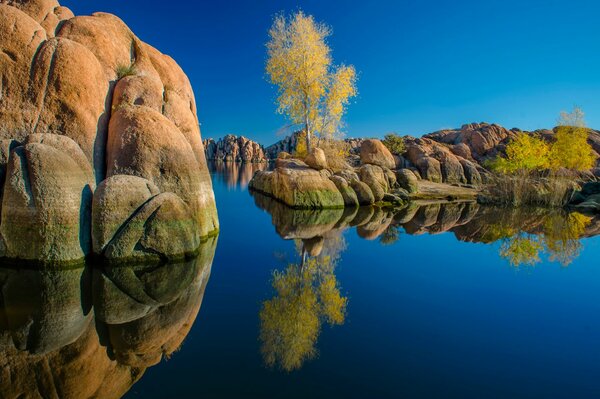 Arizona State reflection of trees in the lake