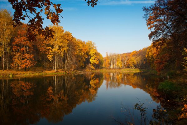 A small pond in the autumn forest