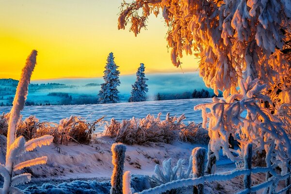 Winter landscape of a snowy road