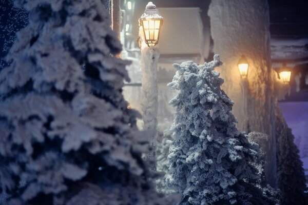 Lanternes et sapins dans les rues d hiver