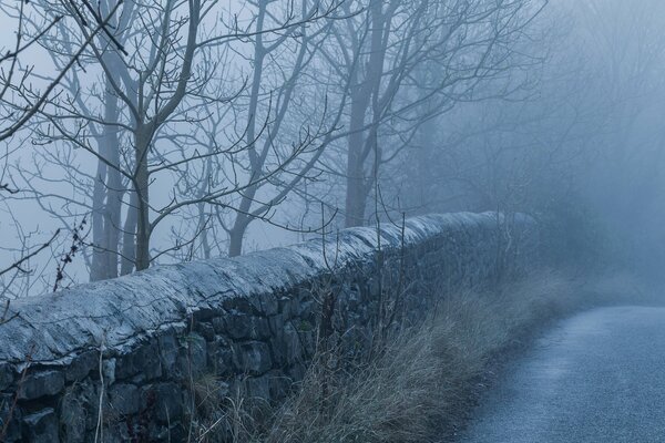 In the morning there is fog on the road a stone fence