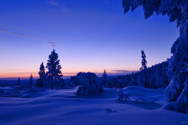 Sonnenuntergang über dem Winterwald