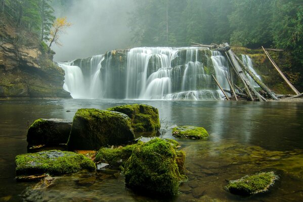 Beautiful waterfalls are surrounded by forest