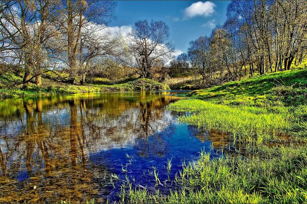 Paesaggio con il fiume e la natura in riflessione