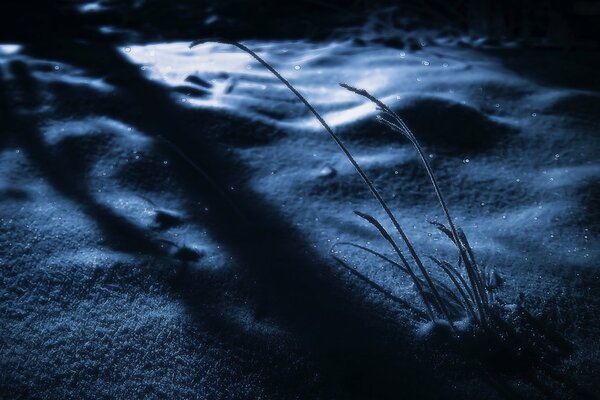 Congères de neige dans la forêt de nuit