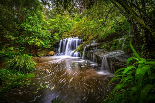 A small waterfall on a forest river