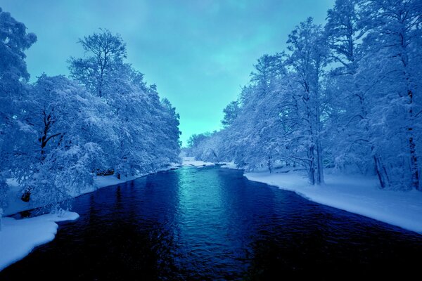 Bosque de invierno cubierto de nieve en la orilla del río