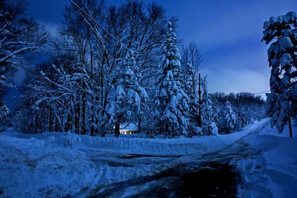 A house in the forest in the winter twilight