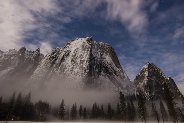 Parco Nazionale degli Stati Uniti Yosemite e foresta nella nebbia
