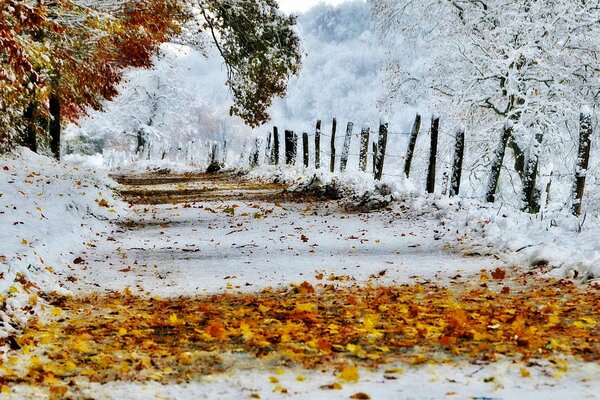 Leaves and snow on the road