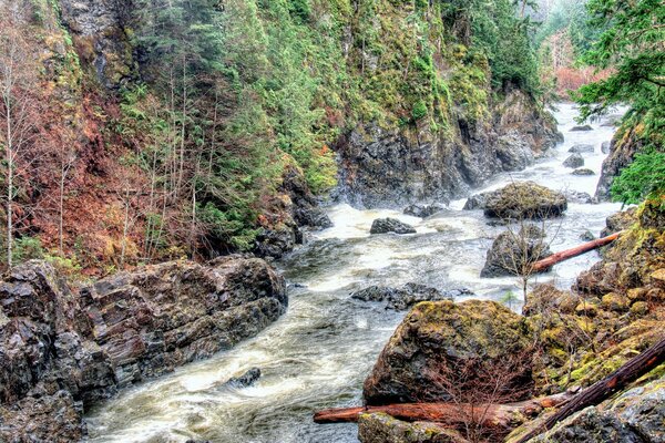 Berg stürmischer Fluss und Bäume