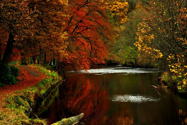 Herbstliche Landschaft. See im Herbstwald