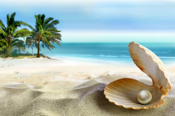 A pearl in a shell on a tropical beach