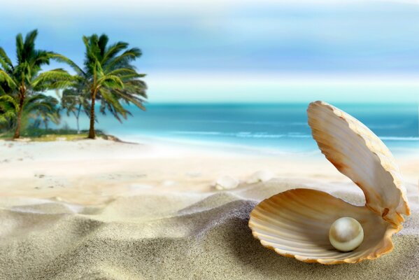 Perla in una conchiglia su una spiaggia tropicale