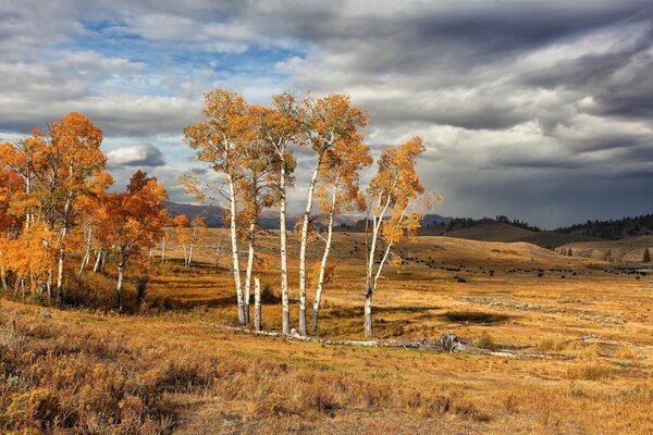 Parque nacional de Yellowstone en Estados Unidos en otoño
