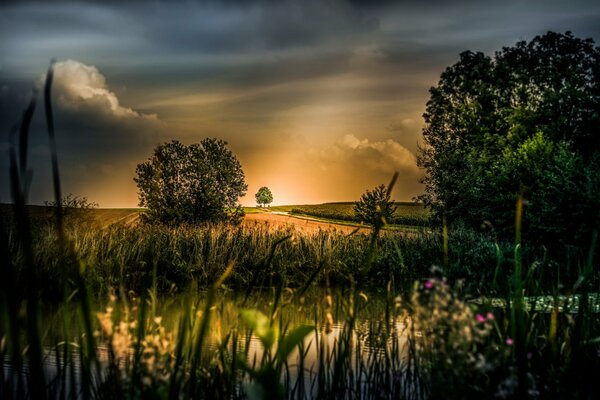 Fluss vor dem Hintergrund der schönen Natur