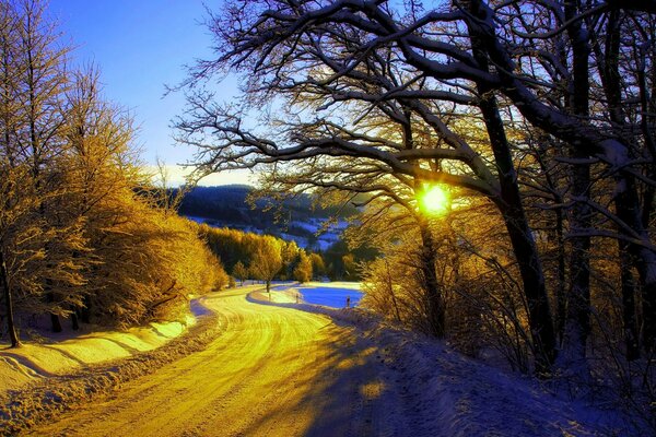 Winterstraße durch den Wald