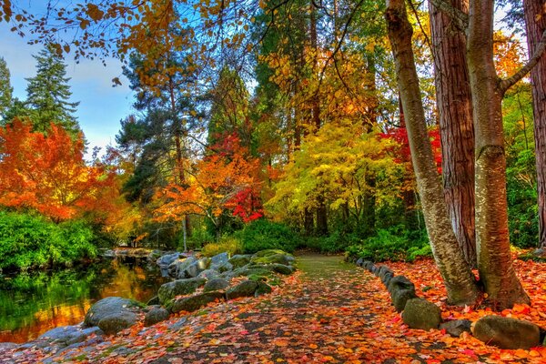 Herbstwald und Fluss