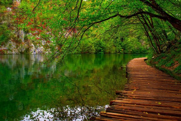 Camino en el parque a lo largo del río