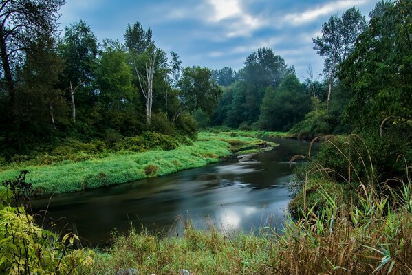 Hermoso paisaje canadiense. Río en el bosque