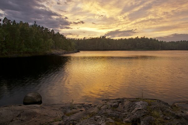 Puesta de sol en el bosque en el lago