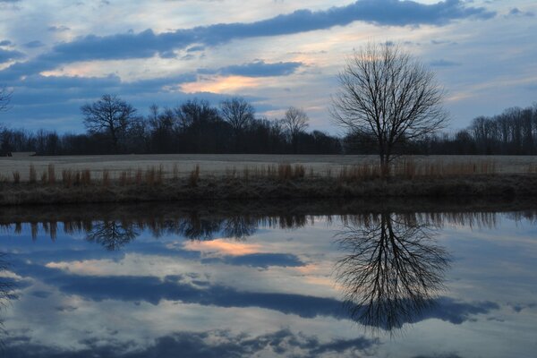 The river reflects the sky and the tree in it